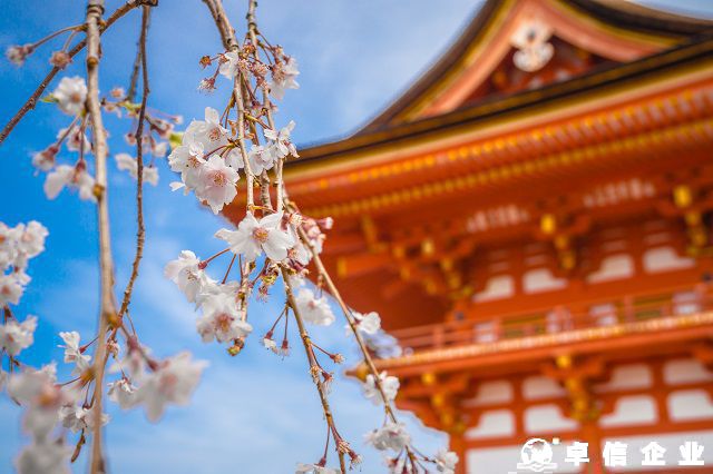 布局日本：设立子公司的关键注意事项