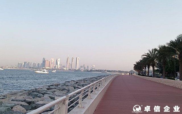 注册土耳其公司：股东及董事所需满足条件详解