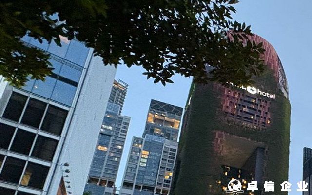 解答注册法国公司注册资本可以实物出资吗