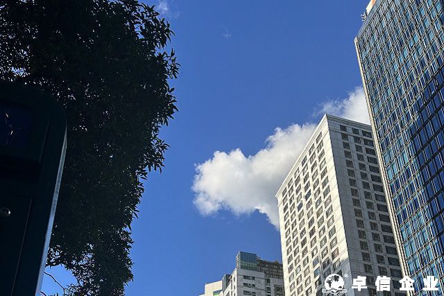 澳大利亚公司注册后必须立即开展业务吗
