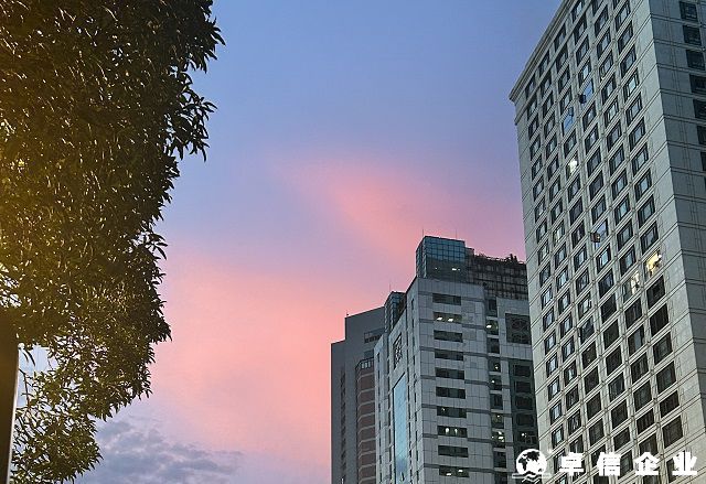 外资企业在意大利可注册哪些公司类型