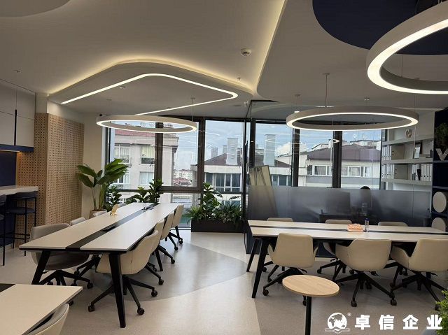 土耳其公司注册常见类型及适用场景深度解析