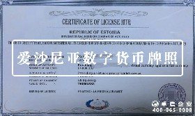 爱沙尼亚数字货币牌照