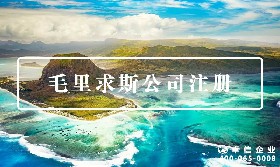 毛里求斯公司