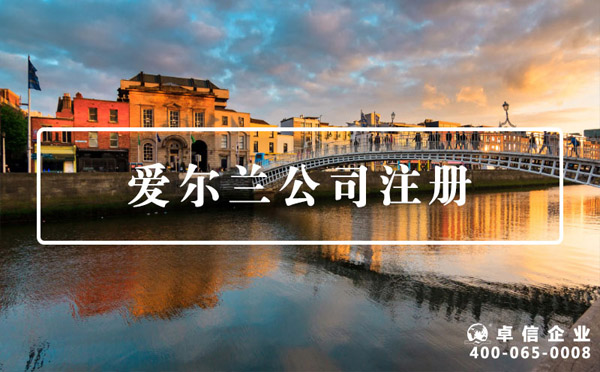 爱尔兰公司